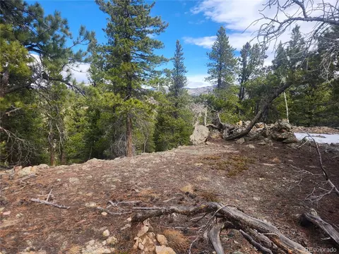 Fools Gold Rd, Idaho Springs, CO 80452