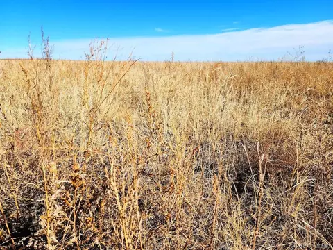 tbd County Rd, Ramah, CO 80832 photo 6
