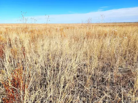 tbd County Rd, Ramah, CO 80832 photo 4