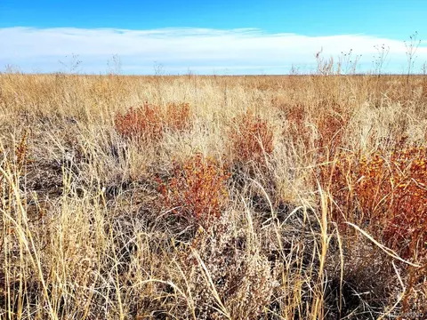 tbd County Rd, Ramah, CO 80832 photo 3