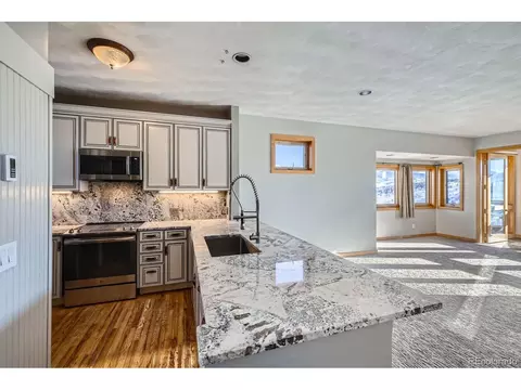 Undisclosed, Silverthorne, CO 80498 photo 3