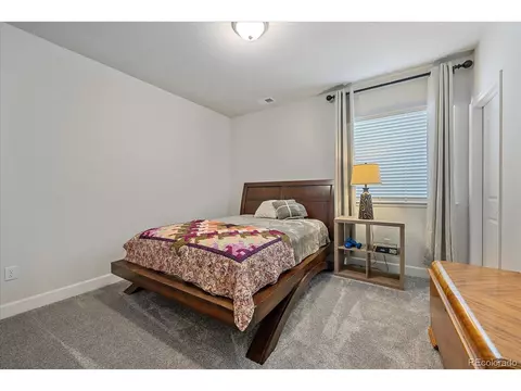 22612 E Narrowleaf Cir, Aurora, CO 80016 photo 26