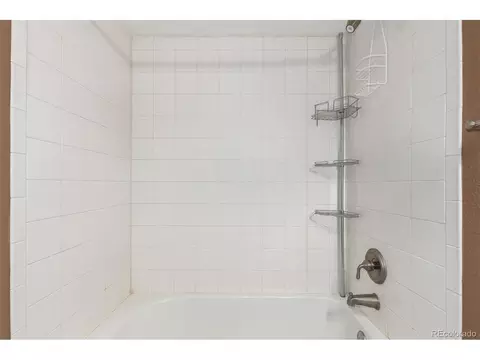 9 Overlook St, Bailey, CO 80421 photo 28