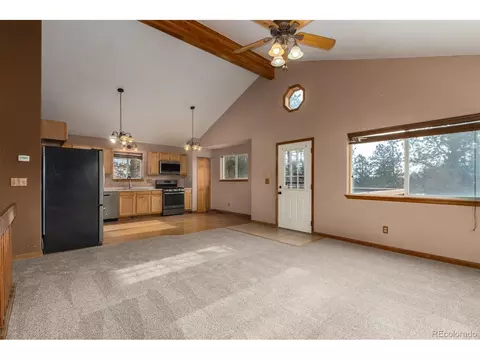 9 Overlook St, Bailey, CO 80421 photo 18