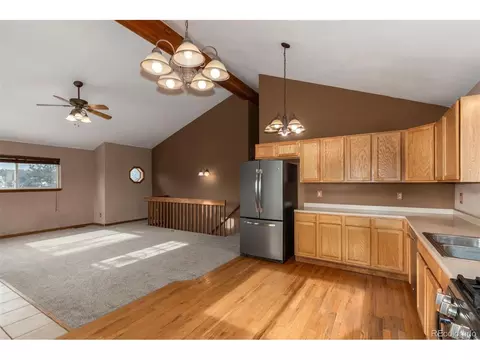 9 Overlook St, Bailey, CO 80421 photo 22