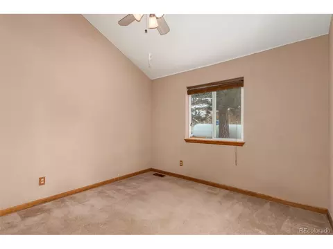 9 Overlook St, Bailey, CO 80421 photo 29