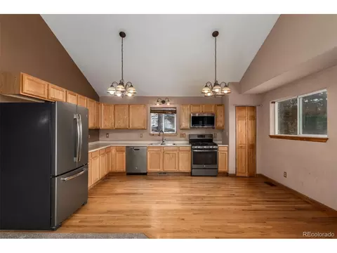 9 Overlook St, Bailey, CO 80421 photo 19