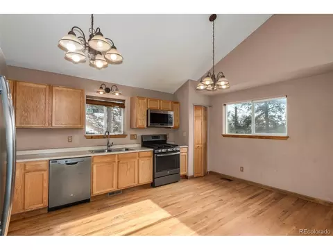 9 Overlook St, Bailey, CO 80421 photo 21