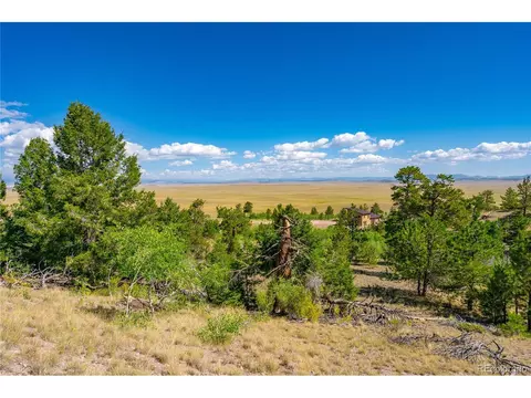 153 Mane Way, Hartsel, CO 80449