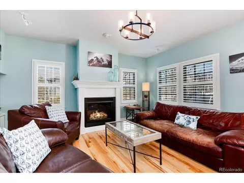 9094 E 28th Ave, Denver, CO 80238 photo 8