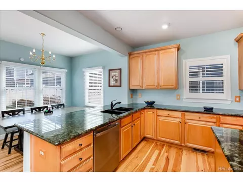 9094 E 28th Ave, Denver, CO 80238 photo 11
