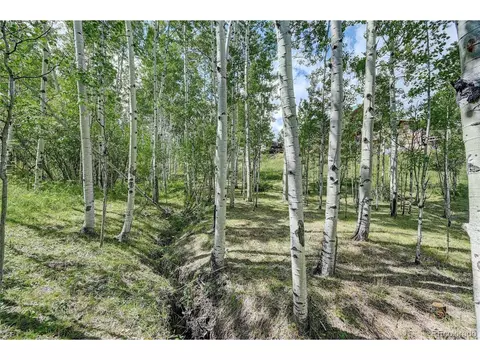 526 Rising Sun Rd, Bailey, CO 80421 photo 34