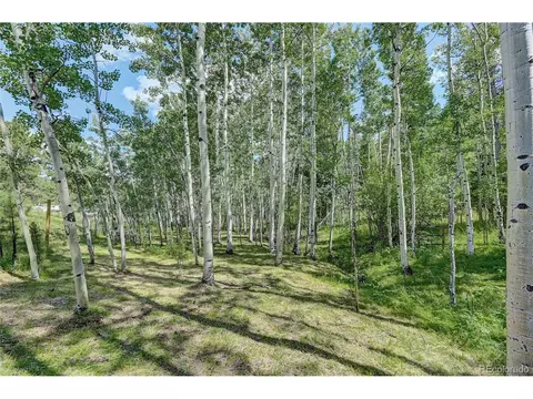 526 Rising Sun Rd, Bailey, CO 80421 photo 35