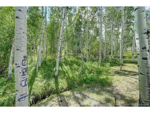 526 Rising Sun Rd, Bailey, CO 80421 photo 9