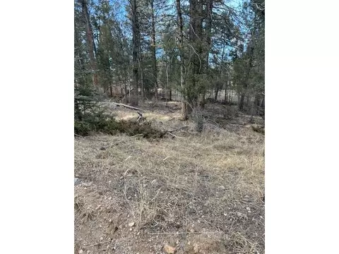 260 Ranch Resorts Dr, Florissant, CO 80816