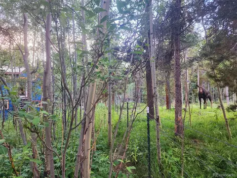 26 Hornblend Rd, Black Hawk, CO 80422 photo 17