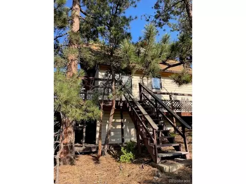 67 Overlook Dr, Bailey, CO 80421