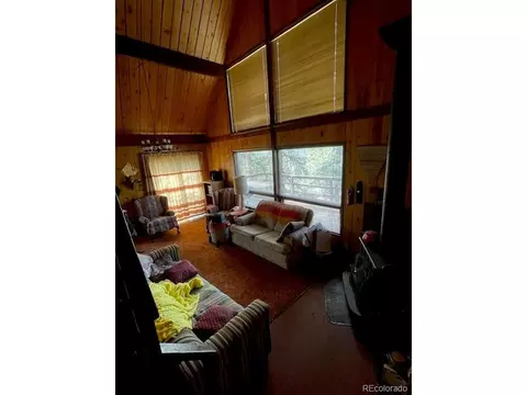 67 Overlook Dr, Bailey, CO 80421 photo 6