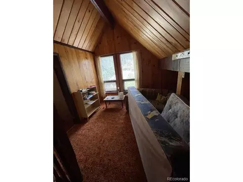 67 Overlook Dr, Bailey, CO 80421 photo 12
