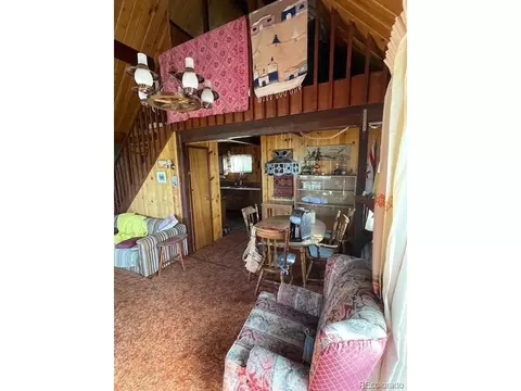 67 Overlook Dr, Bailey, CO 80421 photo 7