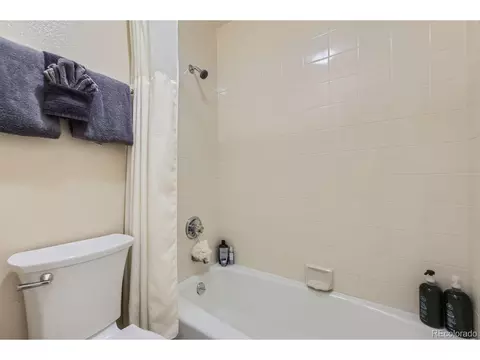 Undisclosed, Dillon, CO 80435 photo 15