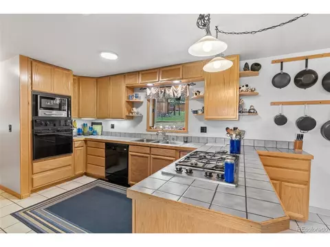 399 Quakie Way, Bailey, CO 80421 photo 10