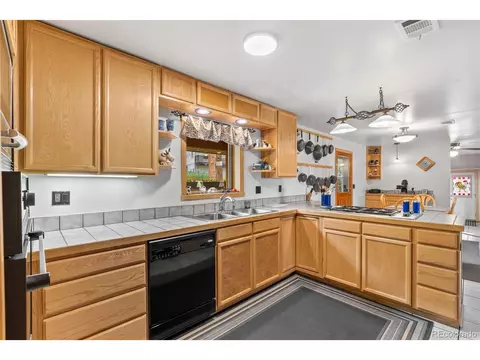 399 Quakie Way, Bailey, CO 80421 photo 11
