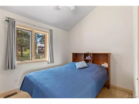 399 Quakie Way, Bailey, CO 80421 photo 27