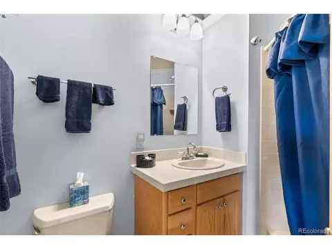 399 Quakie Way, Bailey, CO 80421 photo 29