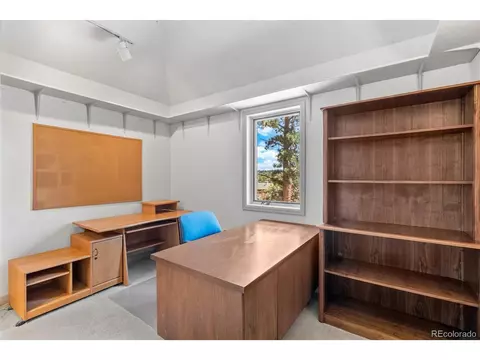 399 Quakie Way, Bailey, CO 80421 photo 31