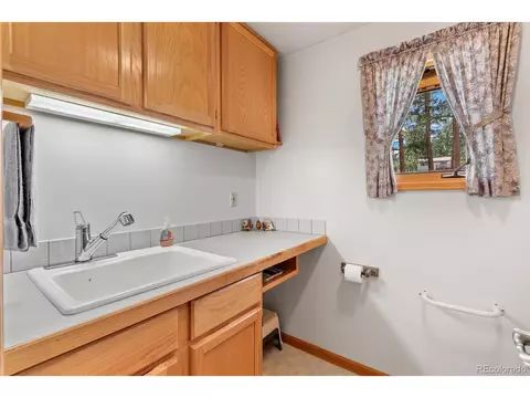 399 Quakie Way, Bailey, CO 80421 photo 18