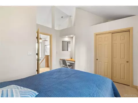 399 Quakie Way, Bailey, CO 80421 photo 28
