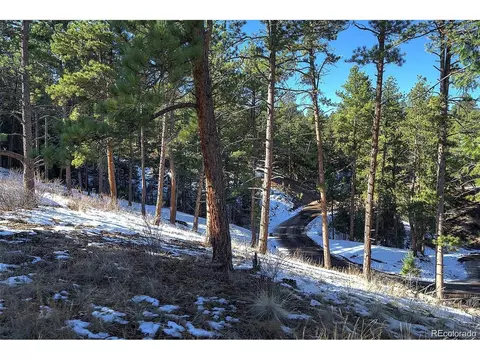 6 Turret Peak Trl, Pine, CO 80470 photo 5