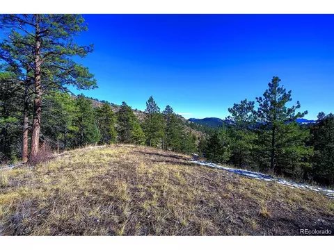 6 Turret Peak Trl, Pine, CO 80470 photo 3