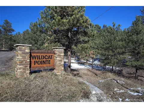 6 Turret Peak Trl, Pine, CO 80470 photo 14