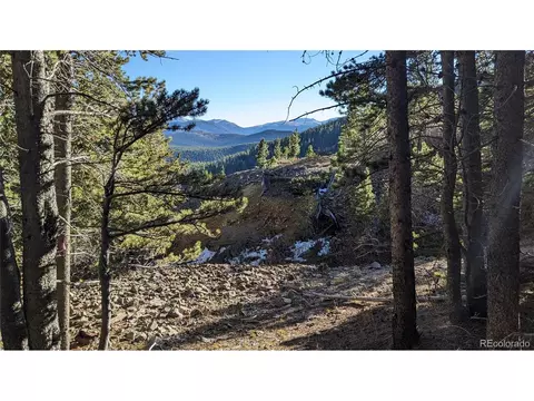 920 Lincoln Cir, Idaho Springs, CO 80452