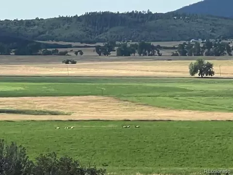 tbd Simonson Rd, Beulah, CO 81023 photo 19