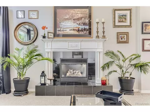 10189 Longview Dr, Lone Tree, CO 80124 photo 5