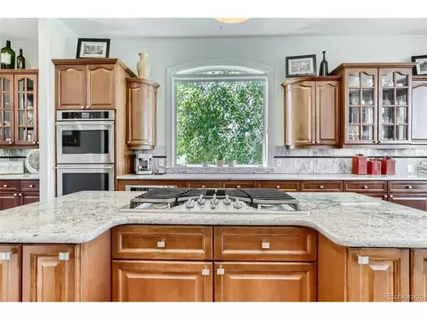 10189 Longview Dr, Lone Tree, CO 80124 photo 13