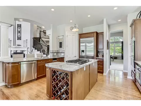 10189 Longview Dr, Lone Tree, CO 80124 photo 11