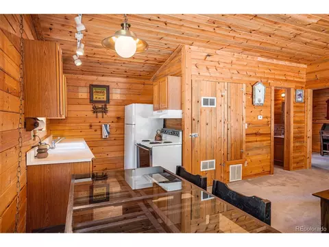 20 Singer Dr, Bailey, CO 80421 photo 20