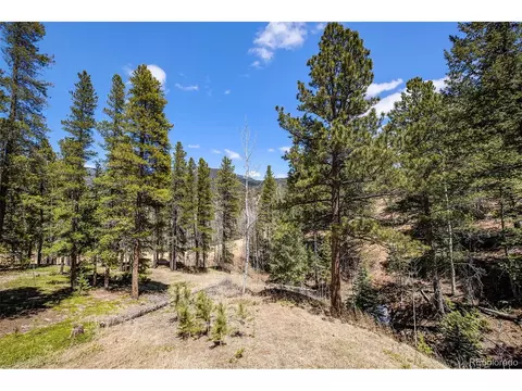 20 Singer Dr, Bailey, CO 80421 photo 35