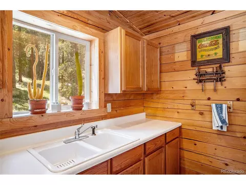 20 Singer Dr, Bailey, CO 80421 photo 17