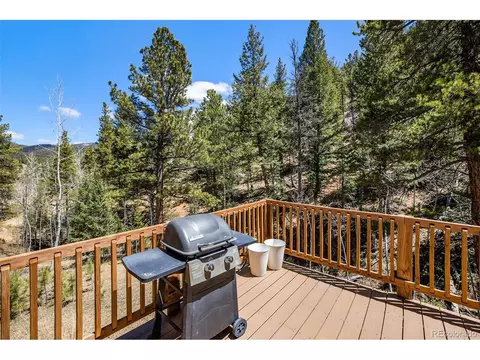 20 Singer Dr, Bailey, CO 80421 photo 29