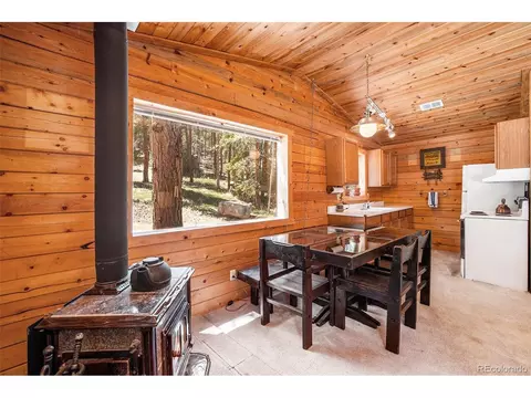 20 Singer Dr, Bailey, CO 80421 photo 12