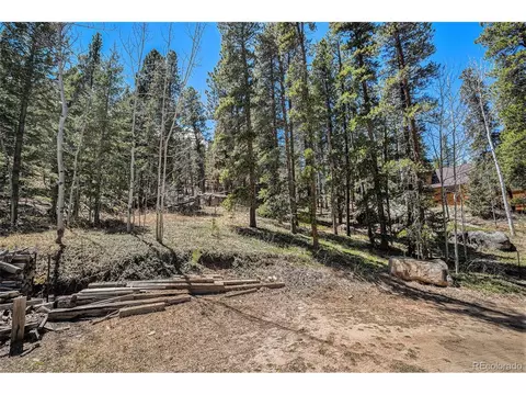 20 Singer Dr, Bailey, CO 80421 photo 36
