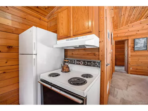 20 Singer Dr, Bailey, CO 80421 photo 19