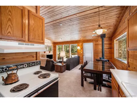20 Singer Dr, Bailey, CO 80421 photo 15