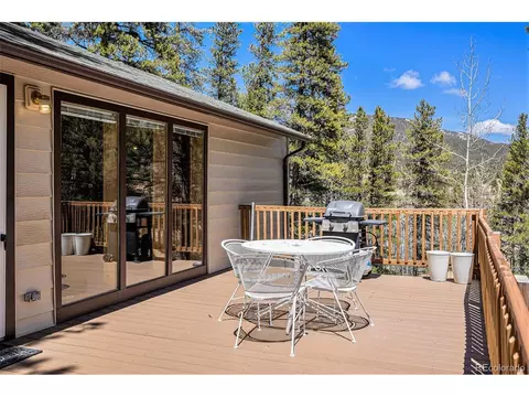 20 Singer Dr, Bailey, CO 80421 photo 6