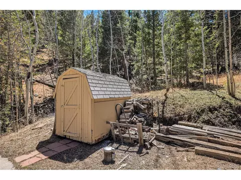 20 Singer Dr, Bailey, CO 80421 photo 34